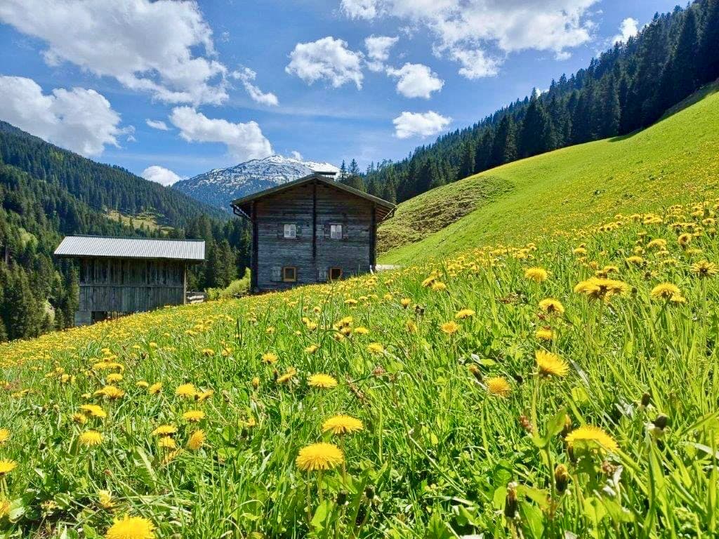 Heubodenhütte Tuxer Alpen